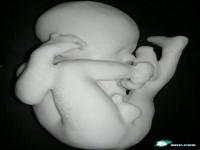 3D打印展下月将在德国开幕多款新奇作品亮相