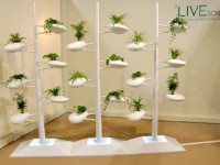 Live Screen：一个拥有自我灌溉功能的室内种植系统