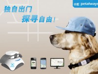Petalways：让宠物安全自由行