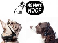 狗狗语言翻译器：No More Woof