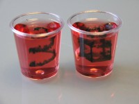 用旧光驱制成的3D打印机，能够在果冻中打印立体花案