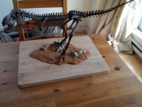 Form1+3D打印机制作霸气霸王龙骨架