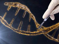 科学家发现基因编辑运行机制，人类有望战胜癌症