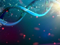 科学家用DNA制造出纳米级温度计
