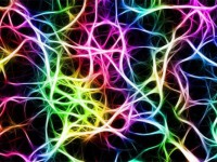 科学家首次通过MRI扫描量化了人类智力