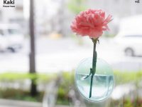 Kaki：可爱的窗边贴花盆