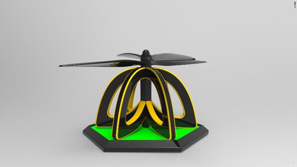 plan bee 6