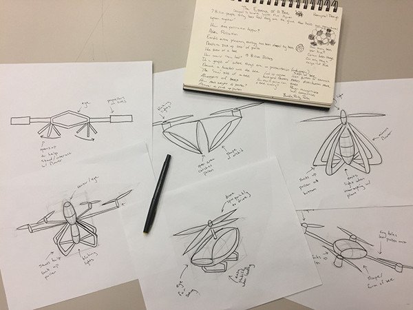 plan bee 1