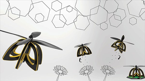 plan bee 5