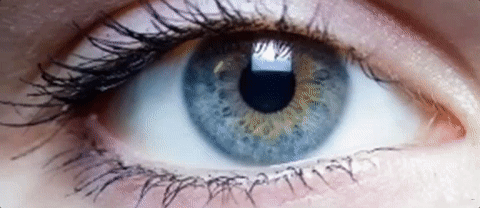 Ocumetics